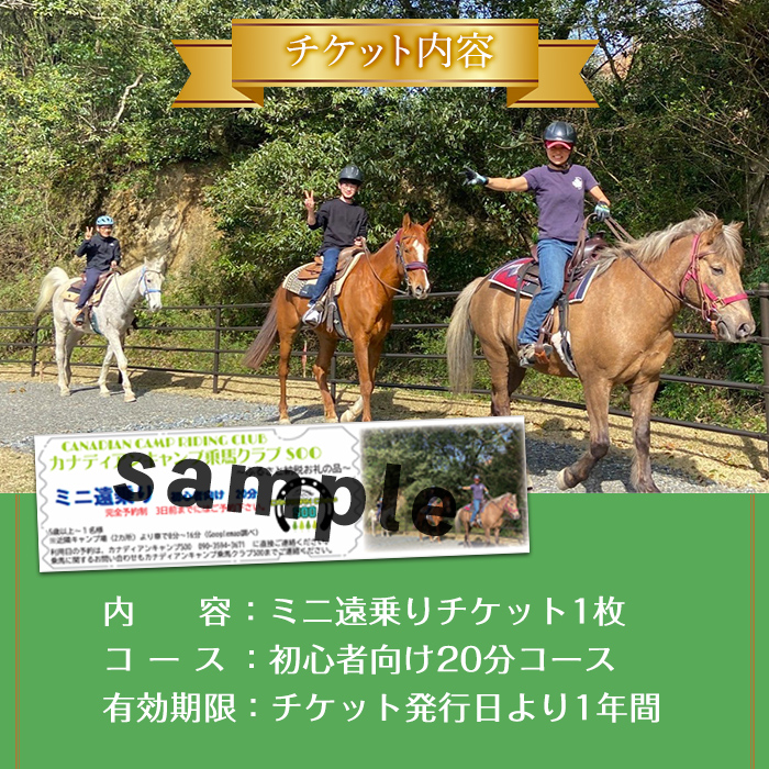 【乗馬体験チケット】ミニ遠乗り20分～初心者向け、5歳以上～(1名様) 体験 乗馬 チケット【曽於市観光協会】 A783