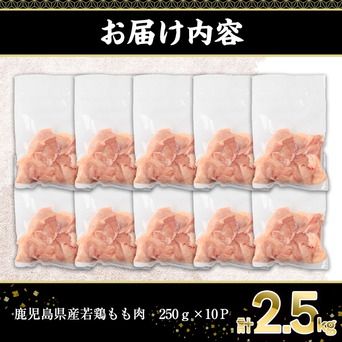 鹿児島県産若鶏もも肉(計2.5kg・250g×10P)【株式会社羽根】A869