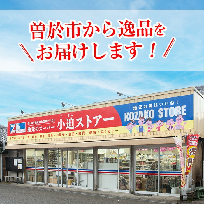 【訳あり】骨取り 塩鮭切り身(計9枚) 鮭 骨なし 冷凍【小迫ストアー】A903