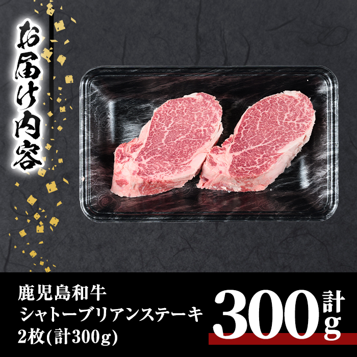 鹿児島和牛シャトーブリアンステーキ(計300g・2枚)【居食肉】B165-v02