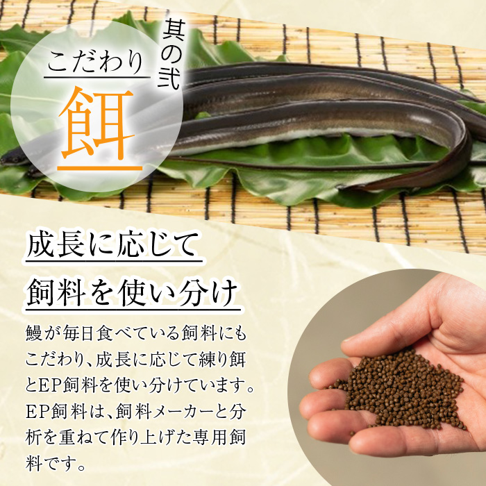 鹿児島県産うなぎきざみ蒲焼セット (200g×5袋) 鰻 ウナギ きざみ うな重 ひつまぶし かばやき 九州産 国産 冷凍 真空パックうなぎ 蒲焼き【西日本養鰻】B176