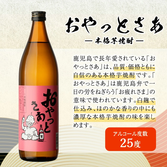 鹿児島の本格焼酎9種を飲み比べ！小瓶10本セット(各720ml・900ml)【大隅家】B96-v03