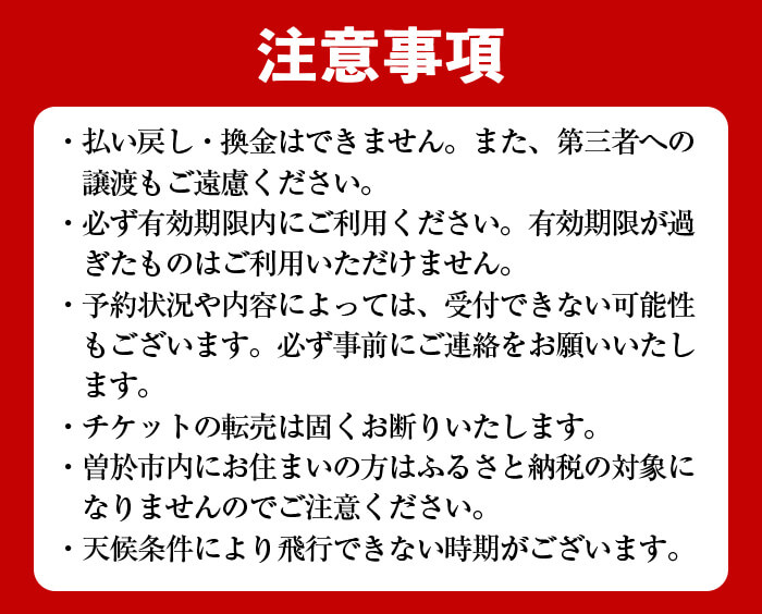 【操縦体験】ドローンを飛ばしてみよう！（2名・2時間コース）体験 ドローン 体験チケット【内山測量設計】D38