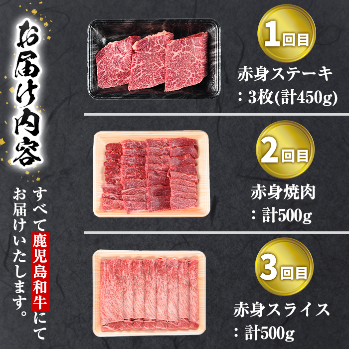＜定期便・全3回＞鹿児島和牛 赤身定期便(合計1.45kg) 和牛 焼肉 ステーキ【居食肉】T66