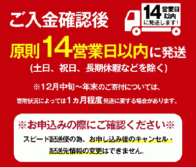 ＜2週間以内発送！＞【芋焼酎セット】曽於市の焼酎おすすめ2本セット(各1800ml)  焼酎 芋焼酎 一升瓶【山元商店】A148-v02