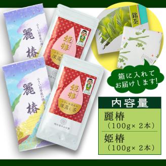 ＜お茶生産量日本一の鹿児島県産！＞小さいお茶屋の深蒸し茶セット1 【お茶の山口園】A63-v01