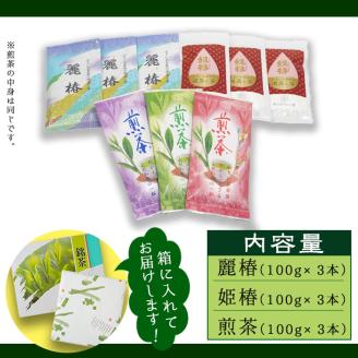 ＜お茶生産量日本一の鹿児島県産！＞鹿児島県産 小さいお茶屋の深蒸し茶セット2 【お茶の山口園】 B46-v01