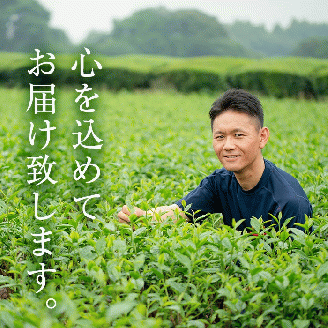 ＜お茶生産量日本一の鹿児島県産！＞小さいお茶屋の煎茶セット(煎茶100g×6本・合計600g) 【お茶の山口園】A185-v01