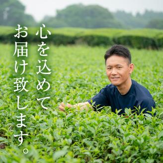＜お茶生産量日本一の鹿児島県産！＞山口園の一番人気の茶葉！小さいお茶屋の煎茶セット(煎茶100g×14本・合計1.4kg)  【お茶の山口園】B108-v01