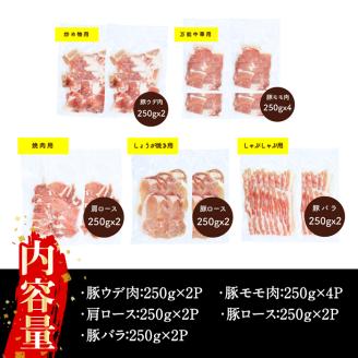 鹿児島県産「天恵美豚」豚バラ・ロース・肩ロース・モモ・ウデ(250g×12P・計3kg)【アグリおおすみ】B142-v01