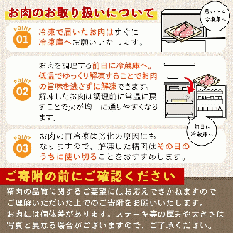 A5等級鹿児島県産黒毛和牛 希少部位ミスジステーキ(計400g・200g×2P)【カミチク】A384-v01