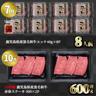 ＜定期便・全4回＞カミチク お試し黒毛和牛定期便 【カミチク】T9-v01