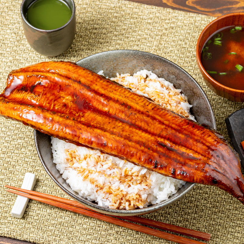 鹿児島産超特大うなぎ蒲焼(無頭) (計240g以上・240g以上×1尾) 鰻 蒲焼き 真空パック【株式会社財宝】A1041