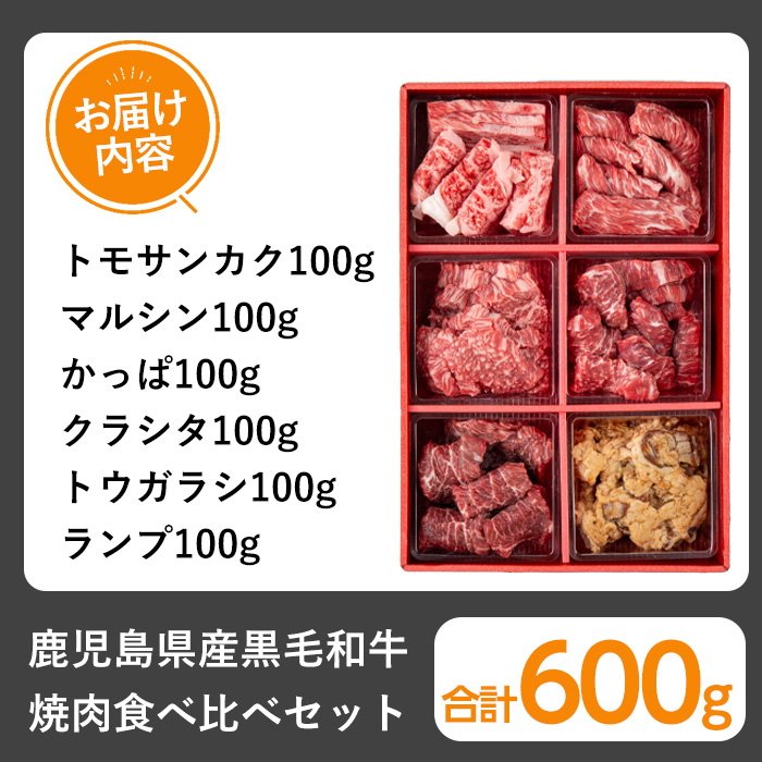 鹿児島県産黒毛和牛 焼肉食べ比べセット(600g)【1129】A359-v01