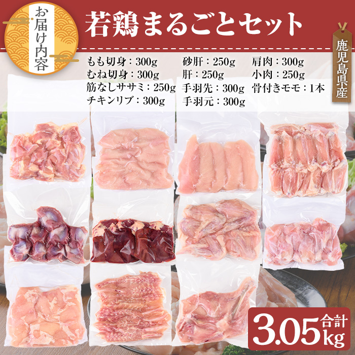 鹿児島県産 若鶏まるごとセット(計3.05kg)【TRINITY】A467-v02