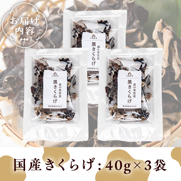国産きくらげ(計120g・3袋)【九南サービス(タマチャンショップ)】A501
