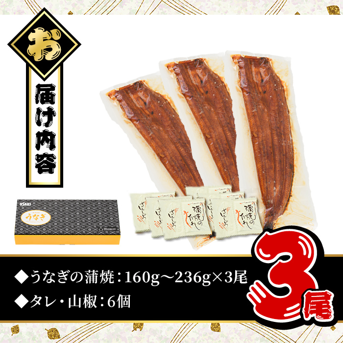 ＜選べるセット内容！＞無投薬！鹿児島県産うなぎ蒲焼セット＜極上＞(計560g・160g～236g×3尾) タレ・山椒付き【西日本養鰻】A507-v01 【3尾】計560g以上