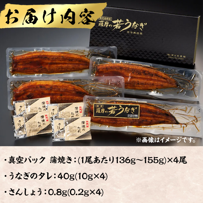 鹿児島県産うなぎ蒲焼 (1尾あたり136g～155g×4尾、タレ・山椒付き) 鰻 ウナギ うな重 ひつまぶし かばやき 九州産 国産 冷凍 【西日本養鰻】A584