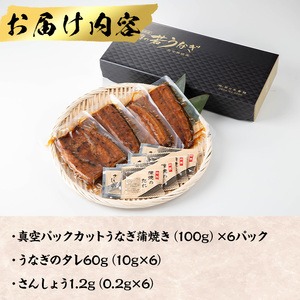 鹿児島県産うなぎ半身カットセット (100g×6パック、タレ・山椒付き) 鰻 ウナギ うな重 ひつまぶし かばやき 九州産 国産 冷凍 真空パック カットうなぎ 蒲焼き【西日本養鰻】A586
