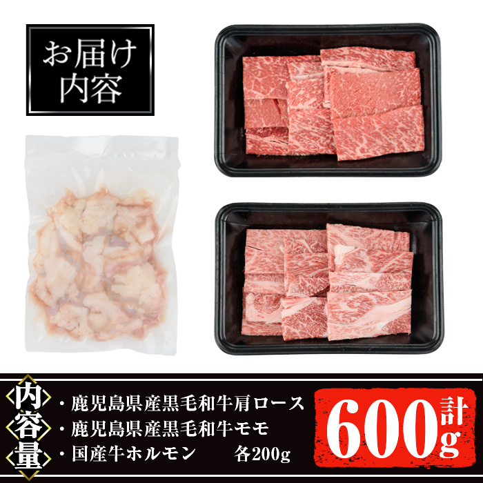鹿児島県産黒毛和牛の焼き肉セット(和牛ロース肉、モモ肉、国産牛ホルモン 各200g 計600g)【ナンチク】A6-v01