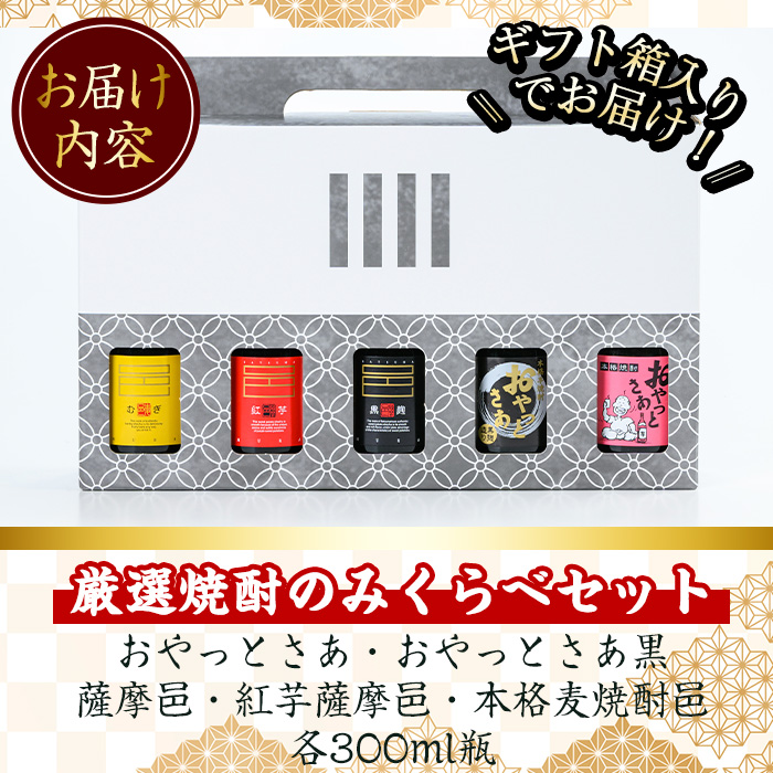 厳選焼酎のみくらべセット(300ml×5本・計1.5L) 焼酎 本格焼酎 飲み比べ 【岩川醸造】 A658