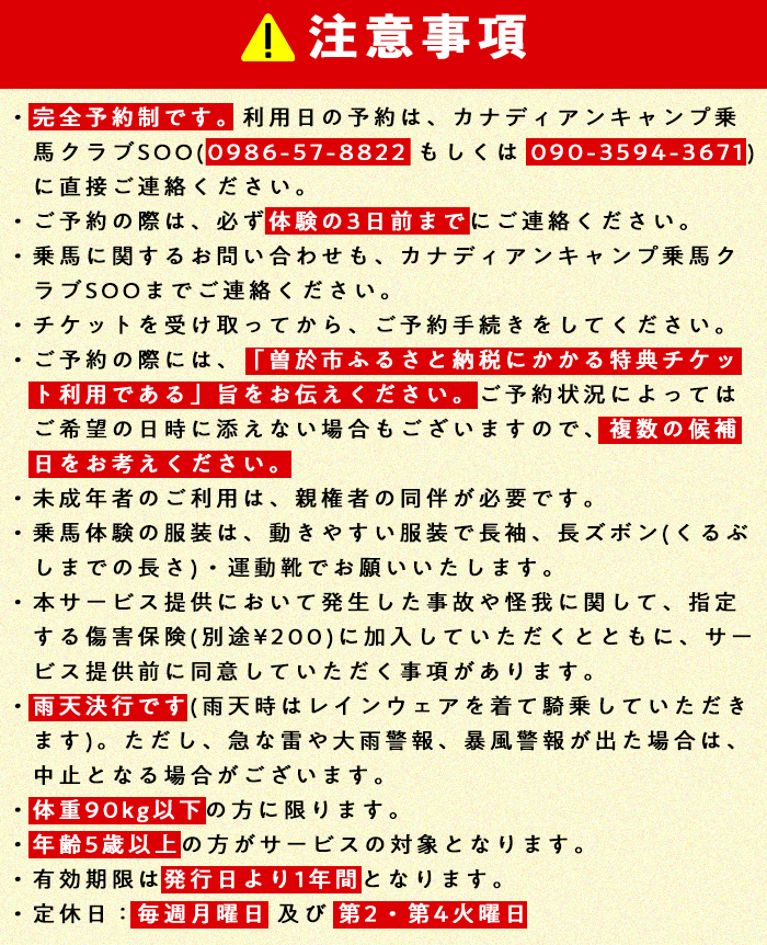 【乗馬体験チケット】ミニ遠乗り20分～初心者向け、5歳以上～(1名様) 体験 乗馬 チケット【曽於市観光協会】 A783