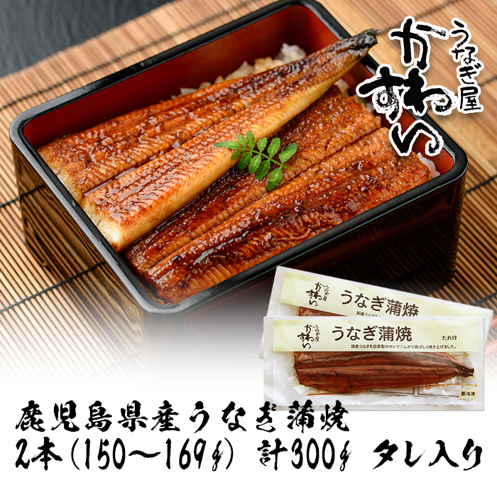 ＜うなぎ屋かわすい＞鹿児島県産 国産うなぎ蒲焼 (計300g以上 / 1本あたり150～169g×2本) タレ入り 鰻 うな重 かばやき【川口水産】A854
