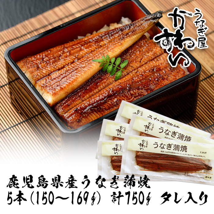 ＜うなぎ屋かわすい＞鹿児島県産 国産うなぎ蒲焼 (計750g以上 / 1本あたり150～169g×5本) タレ入り 鰻 うな重 かばやき【川口水産】A857