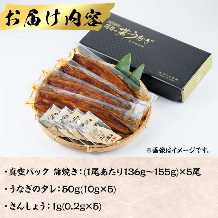 鹿児島県産うなぎ蒲焼 (1尾あたり136g～155g×10尾、タレ・山椒付き) 鰻 ウナギ うな重 ひつまぶし かばやき 九州産 国産 冷凍 【西日本養鰻】B175