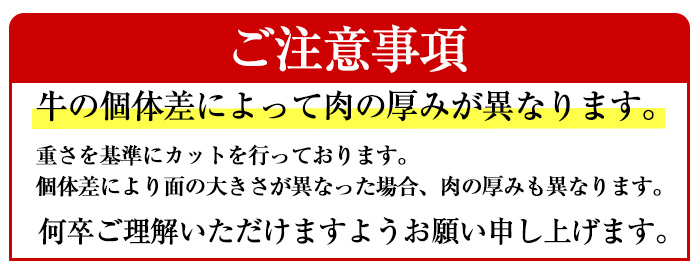 鹿児島県産A4等級以上黒毛和牛・濃厚ヒレステーキ 計360g(180g×2枚)【ビーフ倉薗】C41