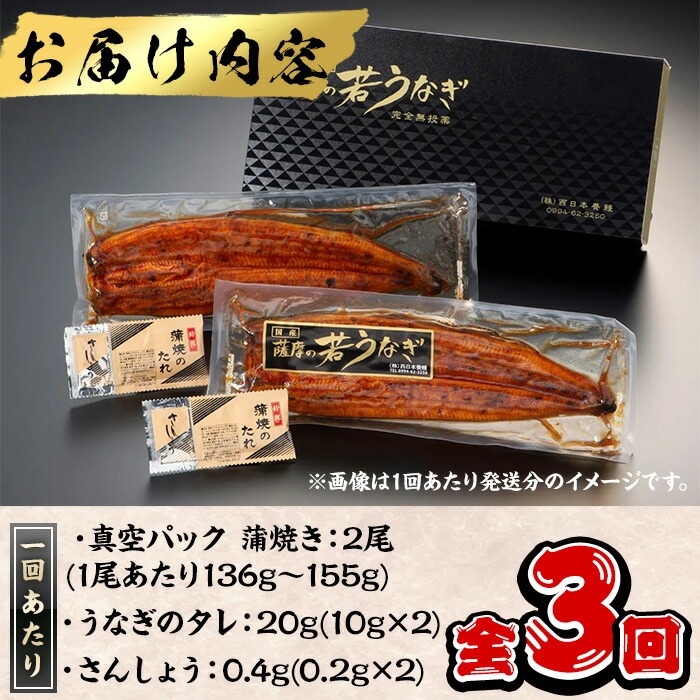 ＜定期便・全3回＞鹿児島県産うなぎ蒲焼 (1尾あたり136g～155g×2尾×3回、タレ・山椒付き) 鰻 ウナギ 国産 【西日本養鰻】T46