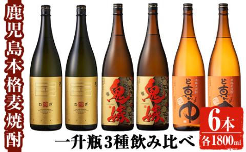 岩川醸造 本格麦焼酎飲み比べ一升瓶6本セット！(麦焼酎の邑、ど真ん中、鬼嫁：各1800ml×2本)【大隅家】C29-v01