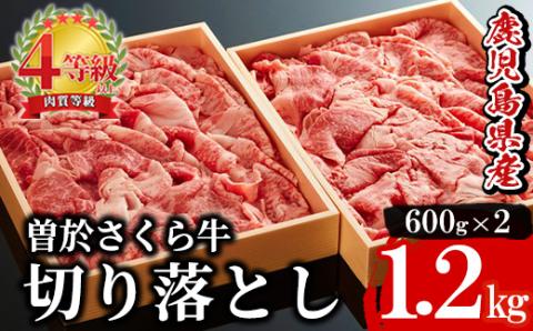 希少！曽於さくら牛 切り落とし1,2kg(600g×2箱)【福永産業】B61-v01