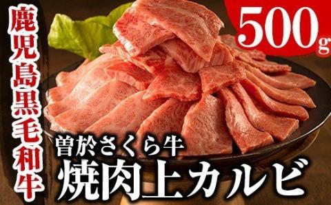 曽於さくら牛焼肉ギフト(上カルビ500g)【福永産業】A16-v01