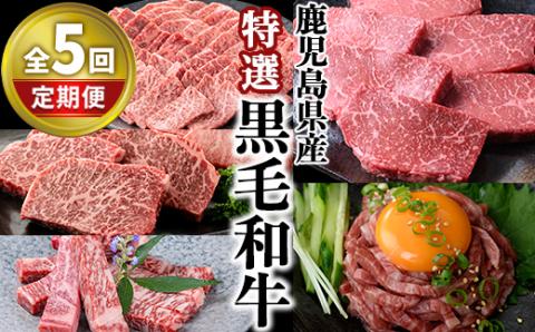 ＜定期便・全5回＞カミチク 特選黒毛和牛定期便 【カミチク】T10-v01