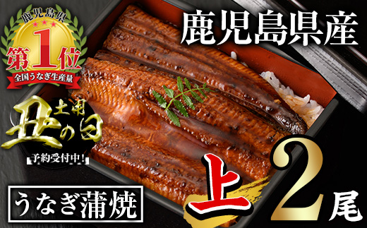 ＜丑の日先行予約受付中！＞無投薬！鹿児島県産うなぎ蒲焼セット＜上＞(計280g以上・ 約140g×2尾) タレ・山椒付き 鰻 ウナギ 国産【西日本養鰻】A1009