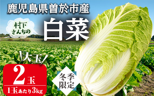 ≪期間限定≫村下さんちの白菜(約3kg×2個) 白菜 はくさい 野菜【曽於市観光協会】A1019 計2個