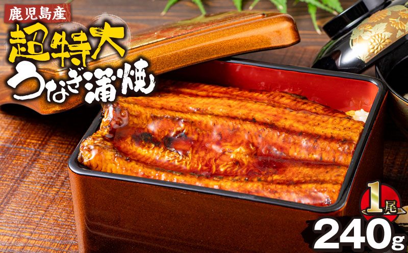 鹿児島産超特大うなぎ蒲焼(無頭) (計240g以上・240g以上×1尾) 鰻 蒲焼き 真空パック【株式会社財宝】A1041