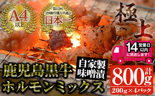 ＜14営業日以内発送！＞鹿児島黒牛 和牛ホルモンミックス 自家製味噌漬け(計800g・200g×4P) 国産 鹿児島県産 黒毛和牛【佐多精肉店】A24-v02