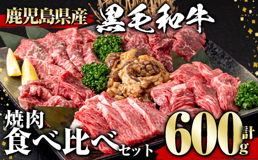 鹿児島県産黒毛和牛 焼肉食べ比べセット(600g)【1129】A359-v01