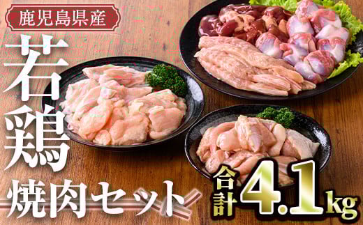 鹿児島県産 若鶏焼肉セット(計4.1kg)【TRINITY】A470-v02