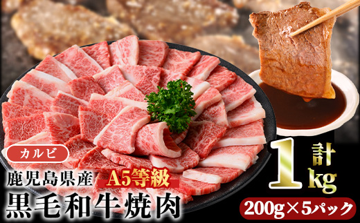 ＜配送回数・内容量が選べる＞A5等級鹿児島県産黒毛和牛カルビ焼肉(計1kg・200g×5パック×1回)【カミチク】A491-v01 【1回】200g×5パック