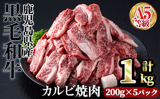 ＜配送回数・内容量が選べる＞A5等級鹿児島県産黒毛和牛カルビ焼肉(計1kg・200g×5パック×1回)【カミチク】A491-v01 【1回】200g×5パック