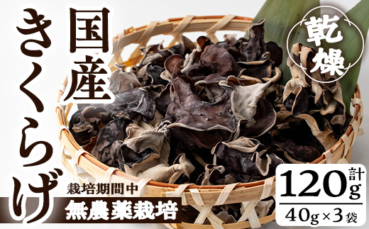 国産きくらげ(計120g・3袋)【九南サービス(タマチャンショップ)】A501