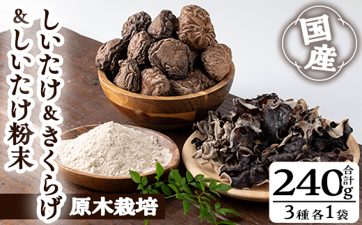 しいたけ＋しいたけ粉末＋きくらげセット(合計240g・3種)【九南サービス(タマチャンショップ)】A503-v01