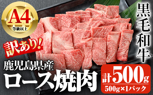鹿児島県産A4等級以上黒毛和牛・ロース不揃い切り落とし焼肉 計500g(500g×1パック)【ビーフ倉薗】A521
