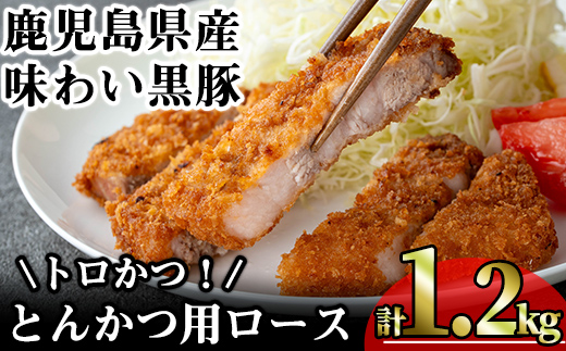 ＜内容量が選べる！＞かごしま味わい黒豚 とんかつ用ロース【トロかつ】 (計1.2kg・200g×6枚) 鹿児島県産 豚肉 黒豚 【KNOT】 A559 【計1.2kg】200g×6枚