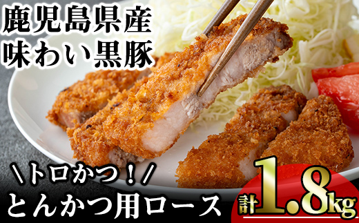 ＜内容量が選べる！＞かごしま味わい黒豚 とんかつ用ロース【トロかつ】 (計1.8kg・200g×9枚) 鹿児島県産 豚肉 黒豚 【KNOT】 A560 【計1.8kg】200g×9枚