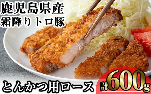＜内容量が選べる！＞鹿児島県産霜降りトロ豚 とんかつ用ロース (計600g・200g×3枚) 鹿児島県産 豚肉 霜降り 【KNOT】 A570 【計600g】200g×3枚