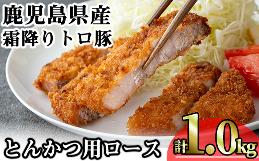 ＜内容量が選べる！＞鹿児島県産霜降りトロ豚 とんかつ用ロース (計1kg・200g×5枚) 鹿児島県産 豚肉 霜降り 【KNOT】 A571 【計1kg】200g×5枚